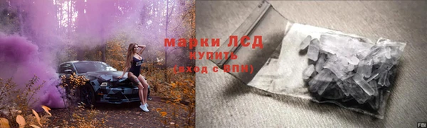трава Ельня