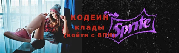 трава Ельня