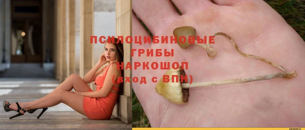 ECSTASY Заволжье