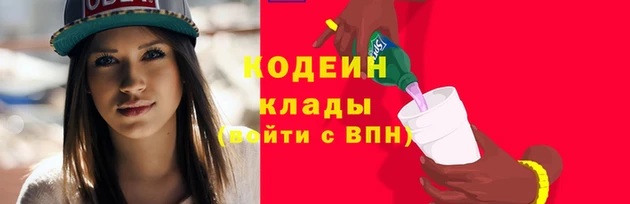 скорость Елизово