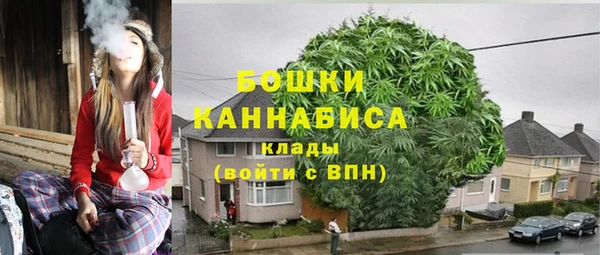 трава Ельня
