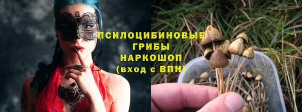 apvp Заводоуковск